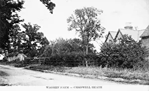 Warren Prints: Warren Farm, Chadwell Heath, Romford, Essex