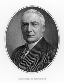 President Collection: Warren G Harding