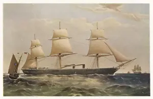 Warrior (Dutton)