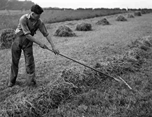 Harvesting Prints: Wartime Hay Harvest 1940