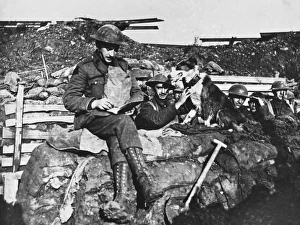 WWI Animals Gallery: Wartime Messenger Dog