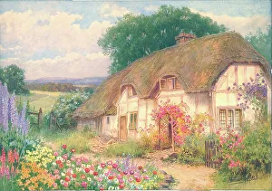 Affleck Gallery: A Warwickshire cottage