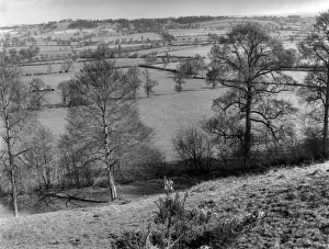 Warwickshire Countryside