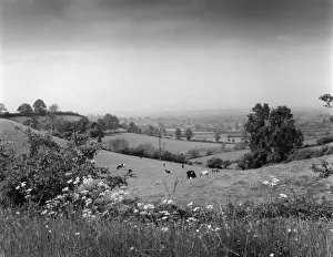 Warwickshire Scenery