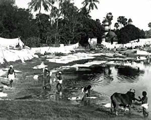 Calcutta Prints: Washing clothes at a Dhobi Ghat, Calcutta, India