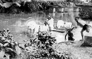 Washing in East Indies