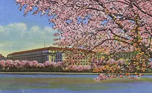 Blossoms Prints: Washington DC, USA - Bureau of Printing and Engraving