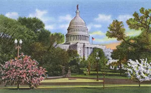 Washington DC, USA - US Capitol at blossom time