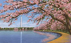Columbia Prints: Washington DC, USA - Washington monument
