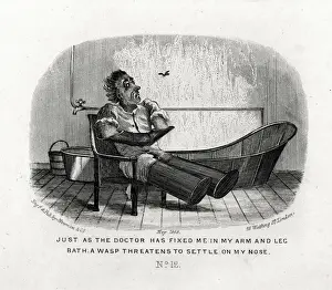 Uncomfortable Prints: A wasp threatens to settle on my nose - The Water Cure