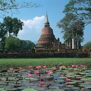 Blooming Prints: Wat Chana Songkhram, Old Sukhothai, Thailand