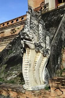 Images Dated 25th November 2012: Wat Chedi Luang temple, Chiang Mai