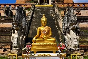 Images Dated 9th November 2014: Wat Chedi Luang Temple in Chiang Mai, Thailand