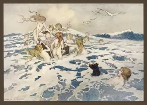 Water Babies