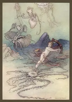Water Babies / Sealife / Tom