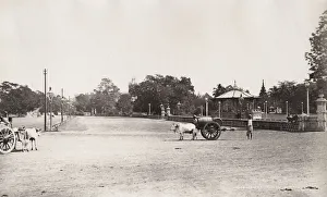 Water cart, Eden Garden, Calcutta, Kolkata, India