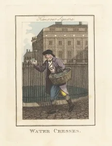 Edward Edwards Prints: Water-cress seller in Hanover Square, London, 1805