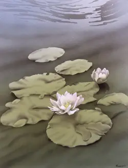 Pond Prints: Water Lilies