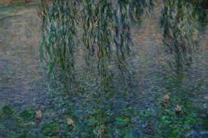 The Water Lilies: Clear Morning with Willows by Monet