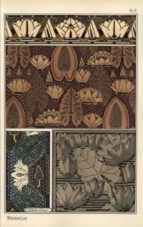 Mold Collection: The water lily, Nelumbo lutea, in fabric, cross-stitch