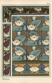 Eugene Gallery: The water lily, Nelumbo lutea, in wallpaper
