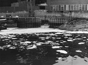 Warrington Gallery: Water Pollution