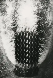 Tread Prints: Water removal from tyre tread