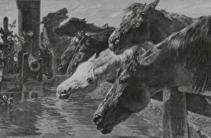 Breeding Prints: The water trough. Engraving after a painting by Koch