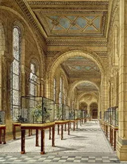 Waterhouse Prints: Watercolour drawing of the Natural History Museum, London