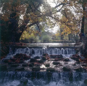 Waterfall Prints: Waterfall at Carshalton Beeches - The Grove Park, Sutton