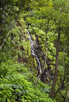 Images Dated 27th June 2011: A waterfall in Ferney Forest