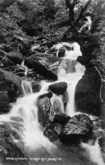 Flow Prints: Waterfall in Glen Lyn