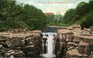Waterfall Prints: Waterfall, Jesmond Dene, County Durham