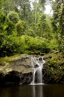 Pools Prints: A waterfall and a small pool near river Danum