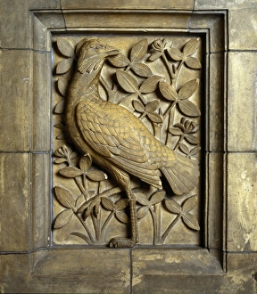 Detail of the Waterhouse Building of the Natural History Mus Detail of the Waterhouse Building of the Natural History Mus