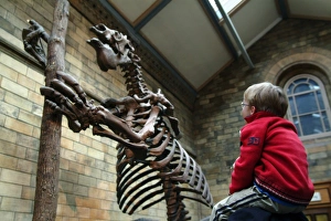 Megatherium Giant Sloth