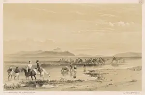 Watering Camels