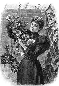 Watering Hanging Basket