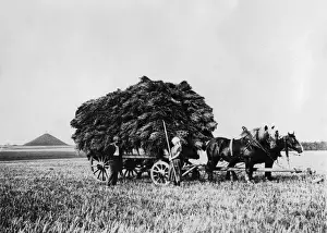 Waterloo Battlefield