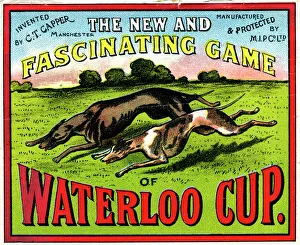 Waterloo Cup game