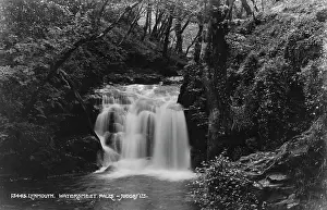 Lush Prints: Watersmeet Falls