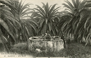 Images Dated 7th December 2015: A waterwheel, Algeria