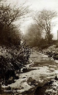 Moor Collection: Watery Lane, Quinton - Moor Street, Birmingham - Winter