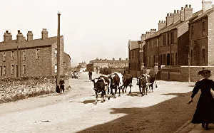 Wombwell Prints: Wath Road, Wombwell