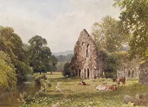 Waverley Abbey / Surrey