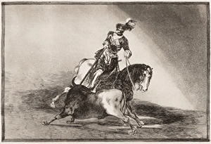 The way in which the ancient Spaniards hunted bulls on horse The way in which the ancient Spaniards hunted bulls on horse