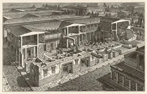Lay Out Prints: Wealthy Roman Home