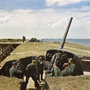 Weapon Prints: Weapon / Anti-Aircraft Ww2