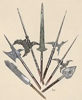 Halberd Prints: Weapons. Halberds and spearhead. Colored engraving