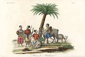 Malagasy Collection: Weapons of the Malagasy people of Madagascar
